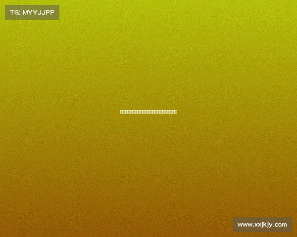 英超冠军球队荣誉之路：历史成就与未来挑战全解析