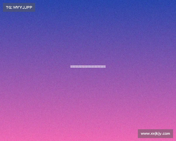 高效整理装备的技巧与方法，提升你的生活与工作效率